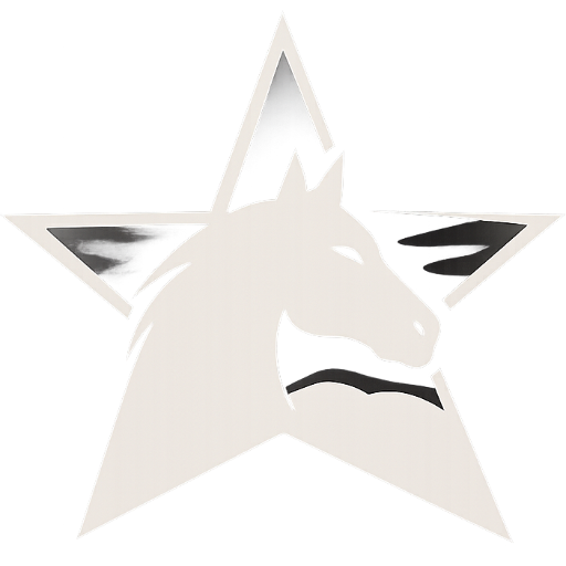 Logotyp Tophorse.se